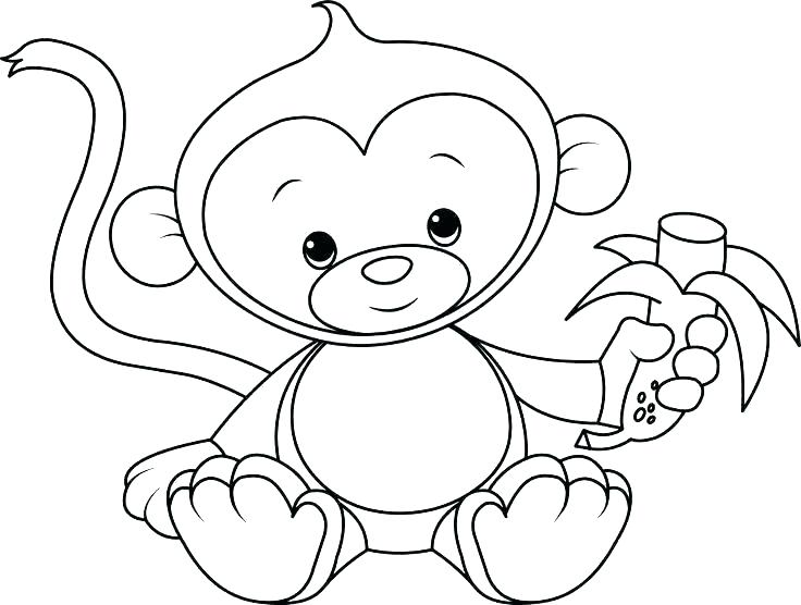 736x556 Spider Monkey Coloring Pages Cute Baby Perfect Baby Monkey