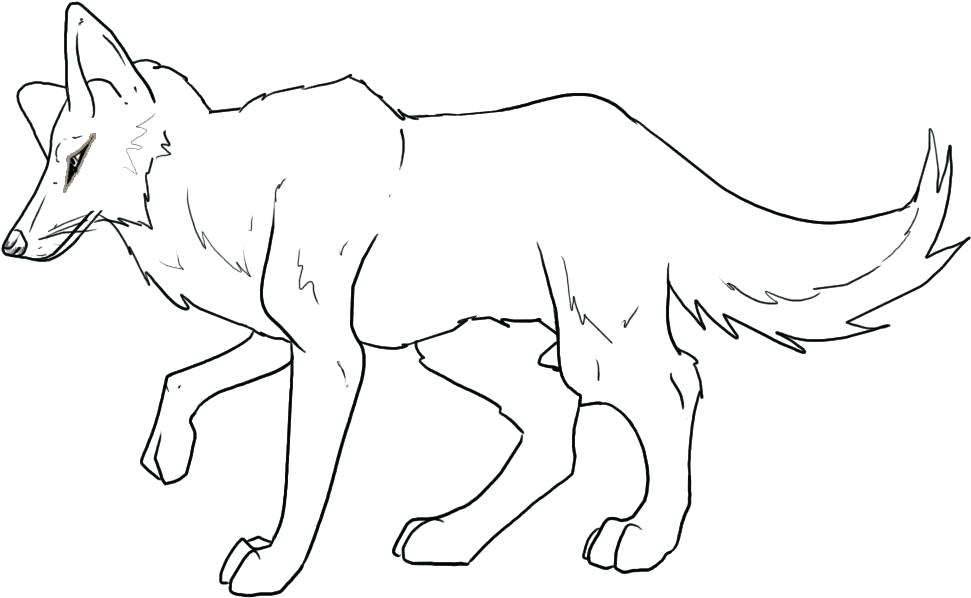 971x598 Coyote Coloring Pages Baby Coyote Coloring Pages