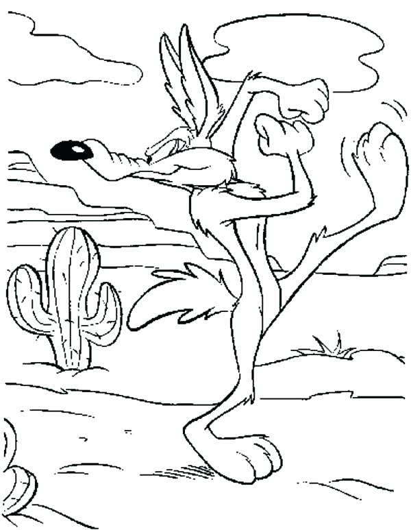 600x773 Coyote Coloring Pages Desert Coyote Coloring Page Tunes Pages Wile