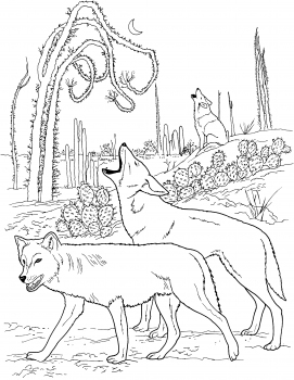 271x350 Coyotes Howling In Desert Coloring Pages 3rd Grade Science