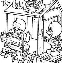 220x220 Donald Duck With Dewey, Huey And Louie On The Beach Coloring Pages