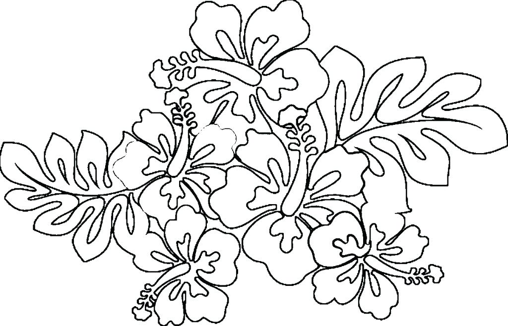 1024x658 Hawaiian Coloring Pages Coloring Pages Hawaiian Flower Coloring