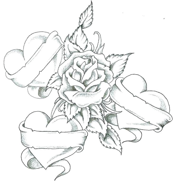 736x764 Hearts Coloring Page Heart Anatomy Coloring Pages Heart Coloring