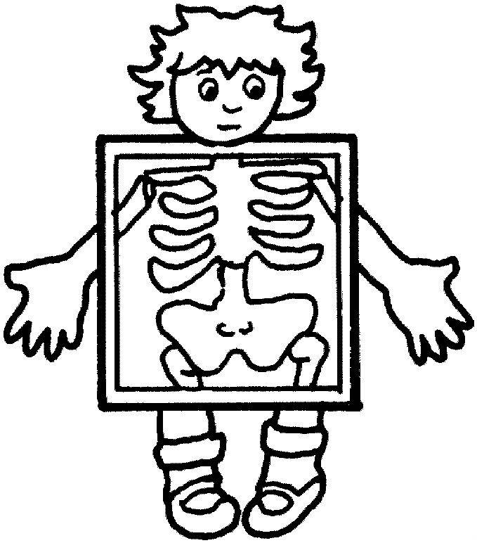 679x772 Coloring Pages Human Body