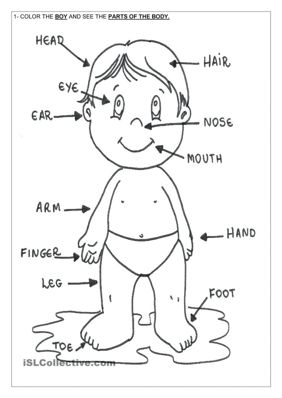932x1318 Sampler Parts Of The Body Coloring Pages Human