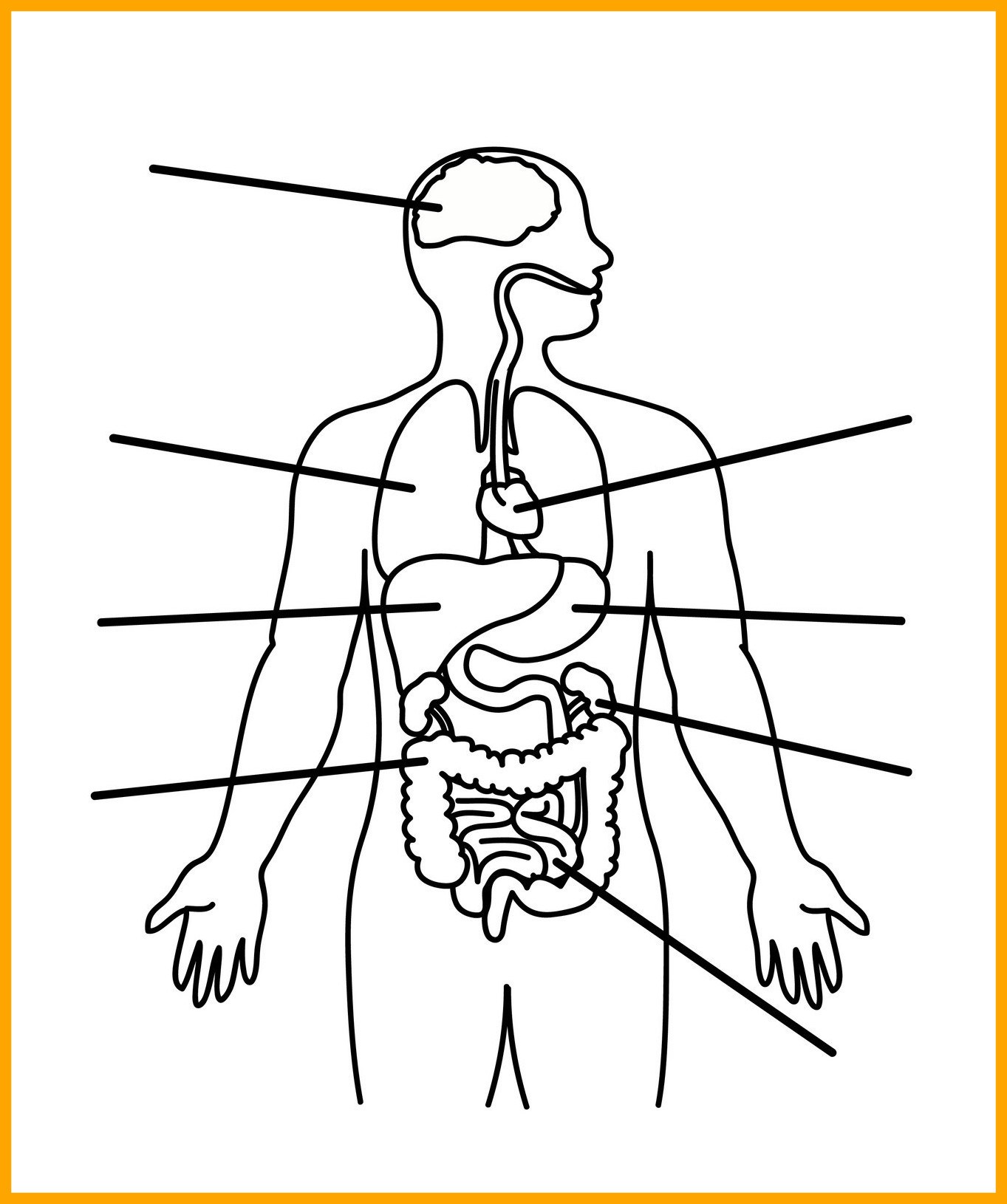 1363x1630 Shocking Human Body Anatomy Outline Printable For Kids Montessori