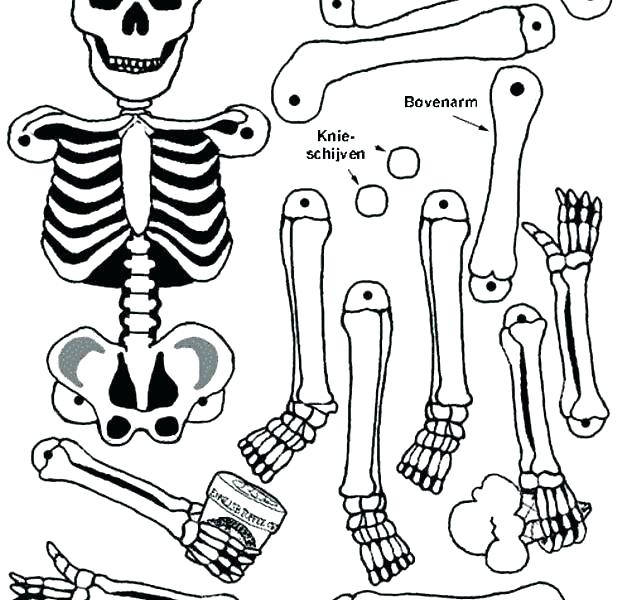 618x600 Skeleton Coloring Page Skeleton Coloring Pages Printable Skeleton