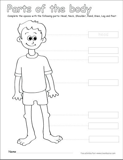 400x518 Body Coloring Pages Parts Of The Body Coloring Sheets Free