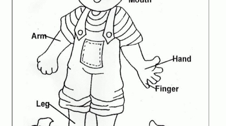 770x430 Coloring Sheets Of The Human Body