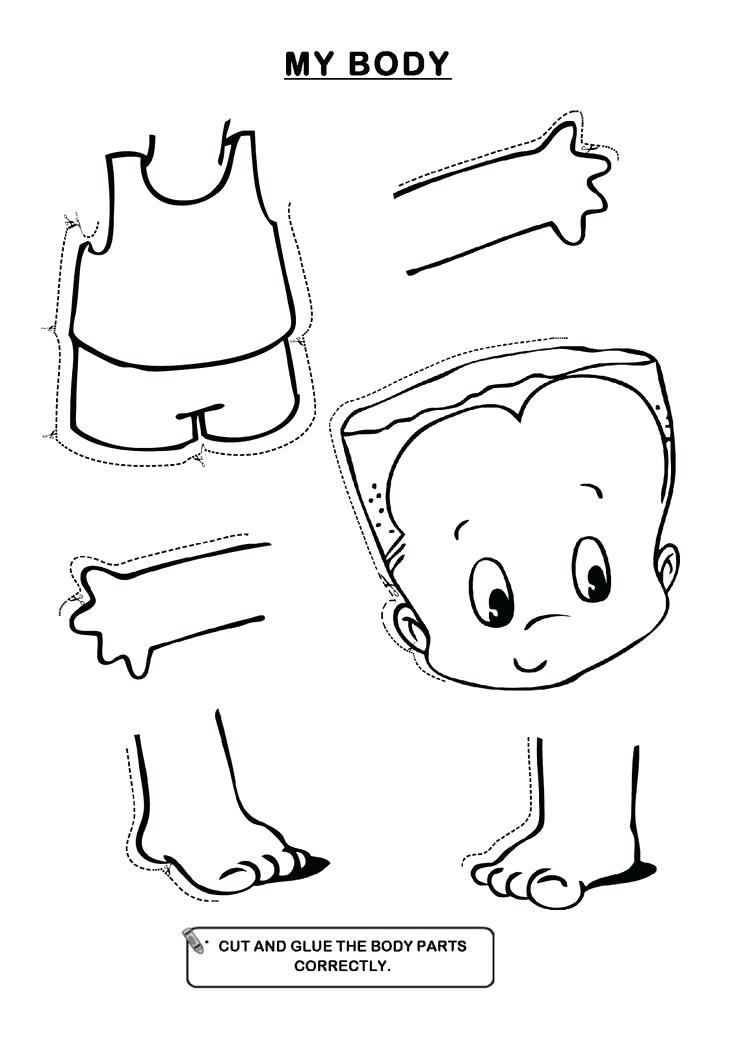 736x1040 Human Body Coloring Page Heart Anatomy Coloring Pages Heart
