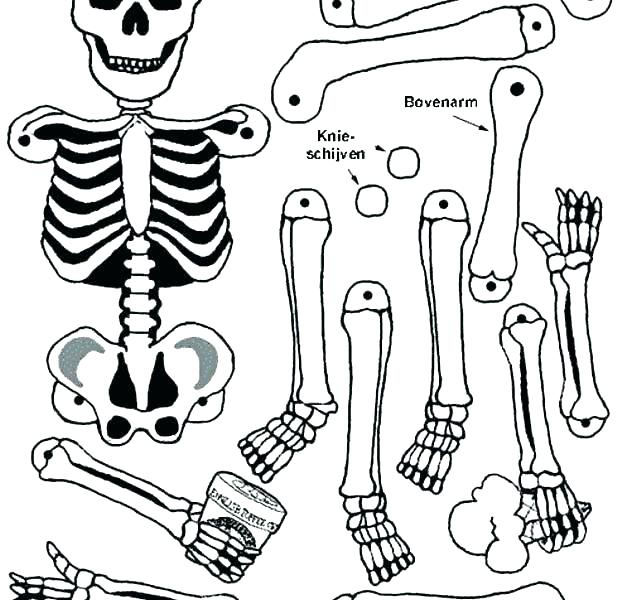 618x600 Body Parts Coloring Pages Printables Human Kids The Pooh Page