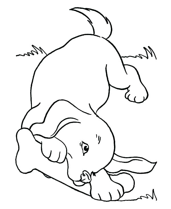 600x734 Dog Bone Coloring Page Anatomy Of A Bone Coloring Bone Coloring
