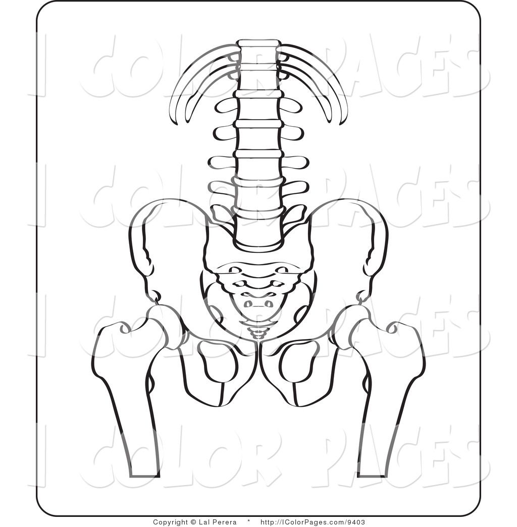 1024x1044 Amazing Dog Bone And Bowl Coloring Page For Kids Pics