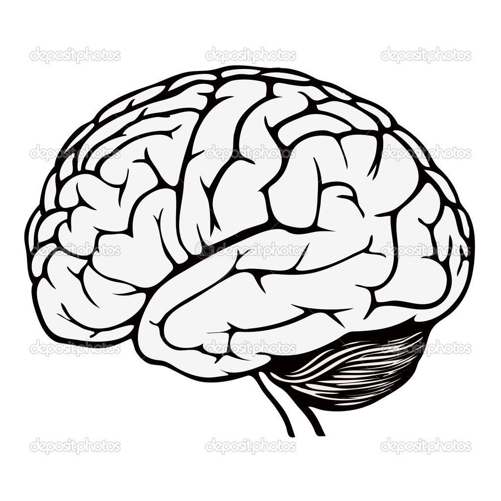 1024x1024 Brain Coloring Page Fancy 89 In Seasonal Colouring Pages