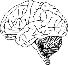 236x226 Brain Coloring Page Growth Mindset Brain, Mindset