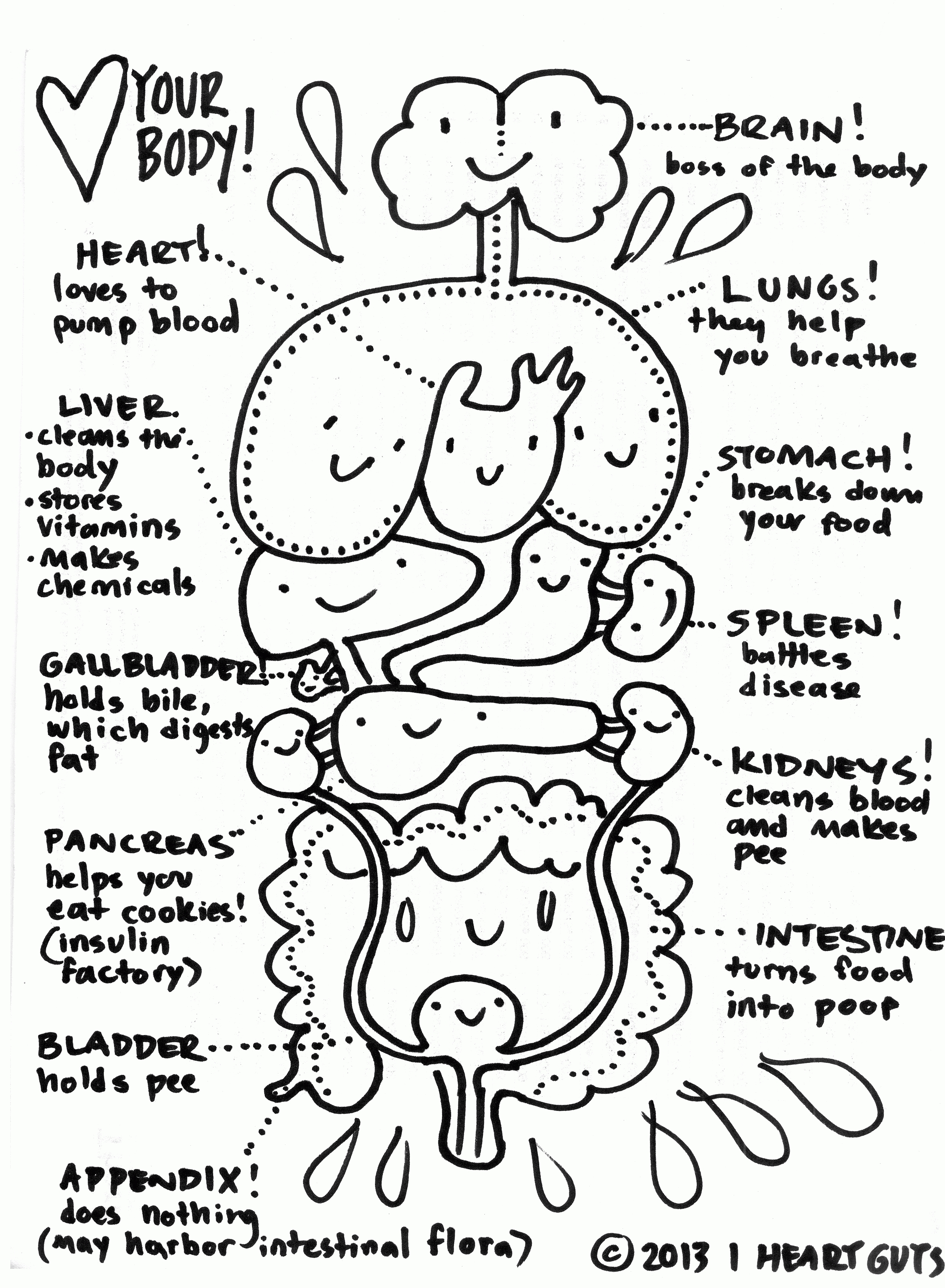 2550x3474 New Human Body System Coloring Pages Design Free Coloring Pages