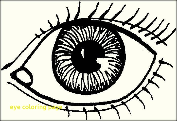 718x491 Eye Coloring Page With Human Eyes Coloring Pages For Preschoolers