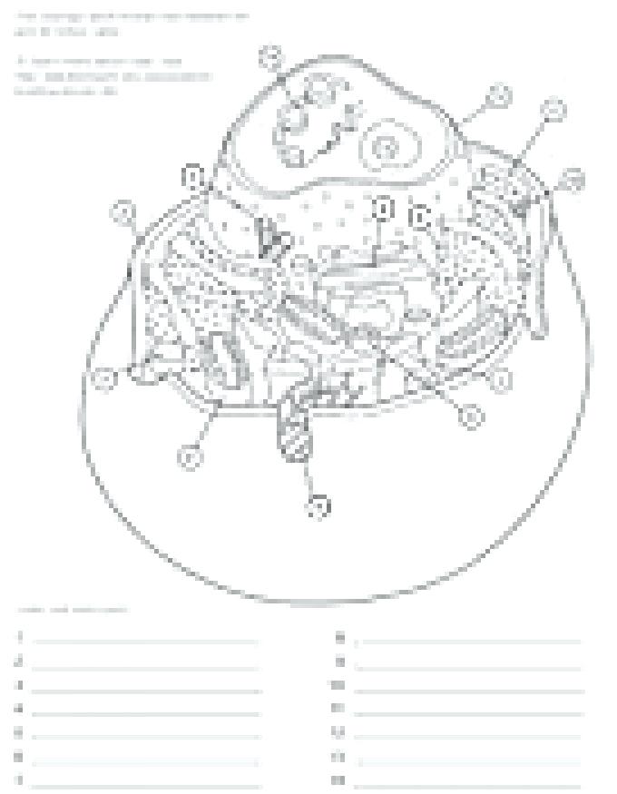 680x875 Eyenatomy Coloring Worksheetsk Biologist Coloring Pagesk