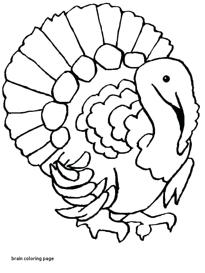 718x957 Coloring Page Of The Brain Brain Coloring Page Brain Coloring