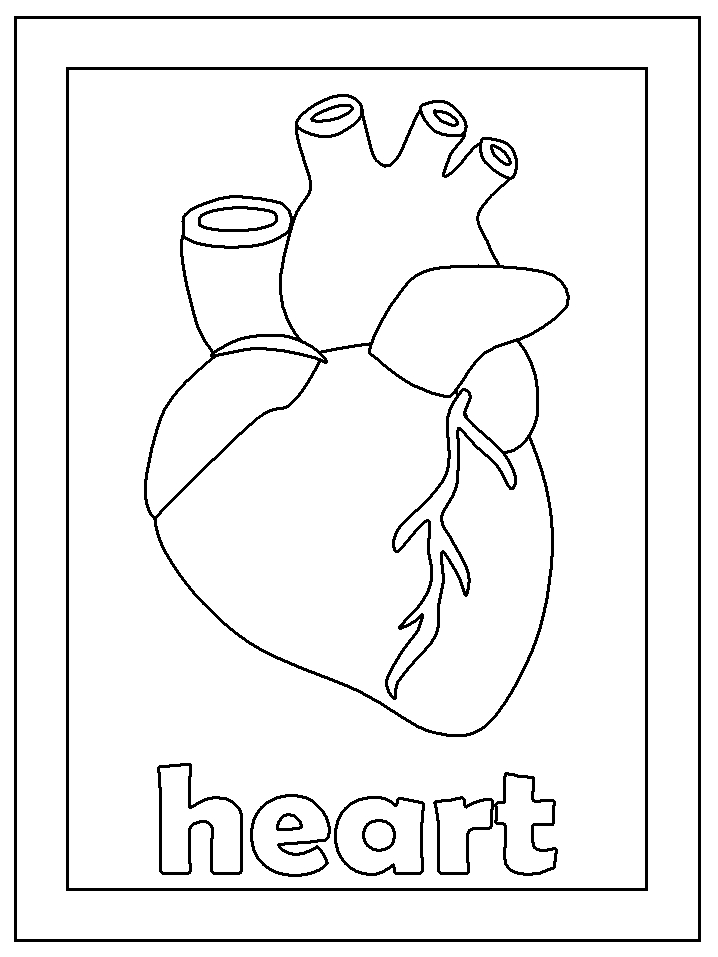 Human Heart Coloring Pages
