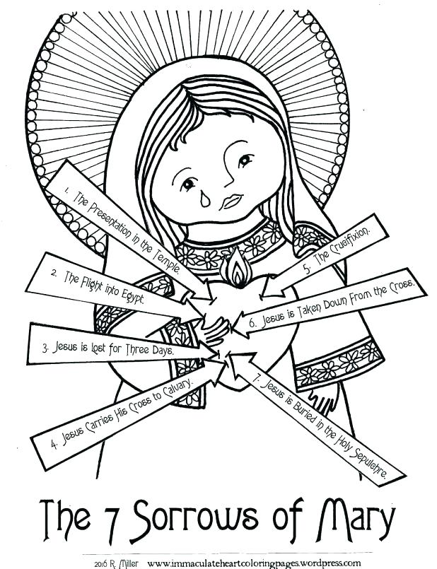 618x805 Heart Anatomy Coloring Pages Heart Anatomy Coloring Pages