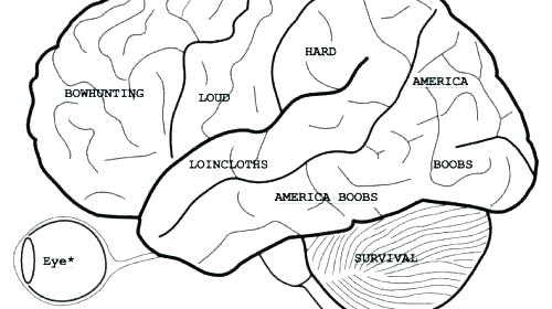 500x280 Anatomy Coloring Pages Muscles Free Anatomy Coloring Pages Anatomy