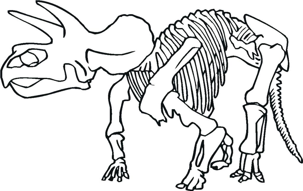1024x645 Human Skeleton Coloring Pages Printable Me Free Dinosaur Mummy