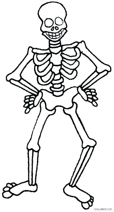 375x700 Skeleton Coloring Page Skeleton Coloring Pages Human Skeleton