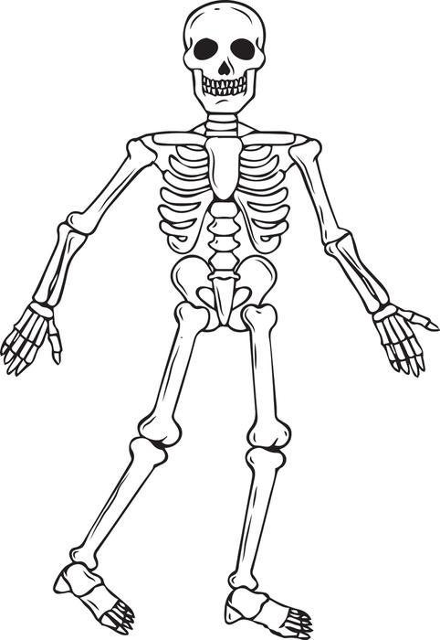 482x700 Halloween Skeleton Coloring Pages Skeleton Coloring Sheet Teojama