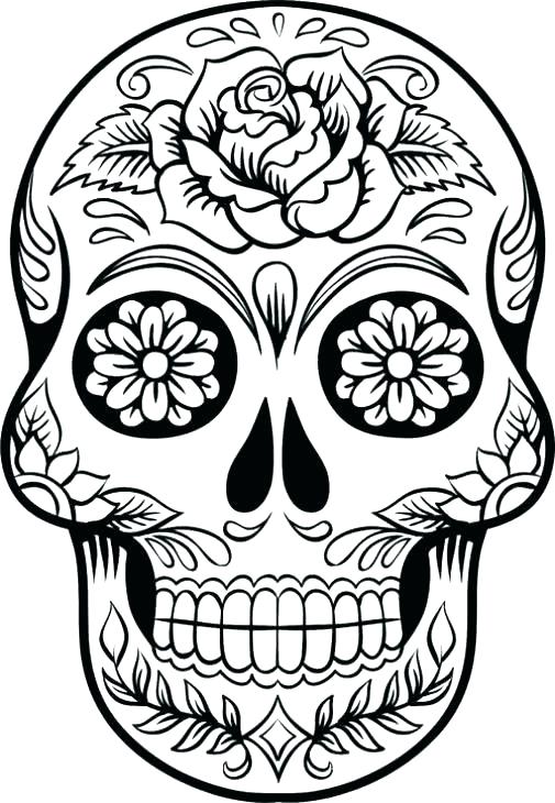 505x730 Human Skeleton Coloring Pages Skeleton Coloring Skeleton Coloring