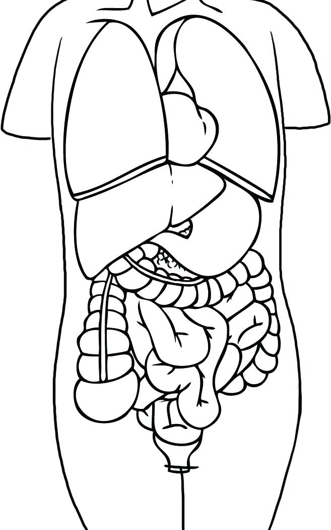 657x1050 Human Torch Coloring Pages Human Coloring Page Free Printable