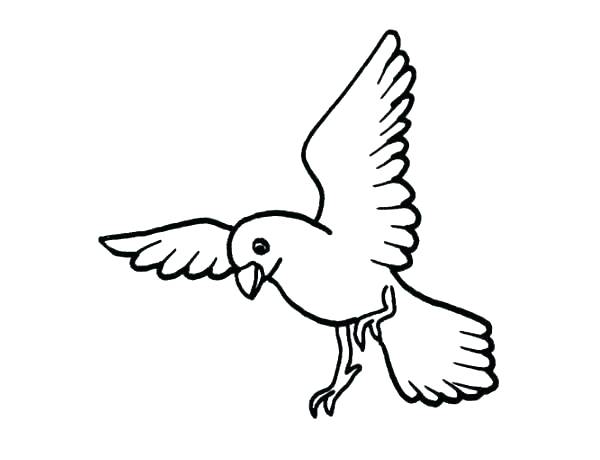 600x460 Hummingbird And Flower Drawing At Free For Hummingbird Coloring