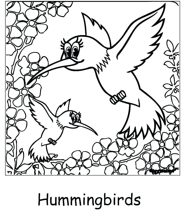 748x872 Hummingbird Coloring Pages Hummingbird Coloring Pages Hummingbird