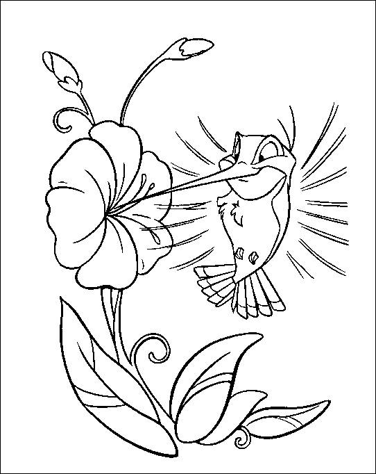 542x682 Hummingbird Flit And Flower Coloring Pocahontas Characters