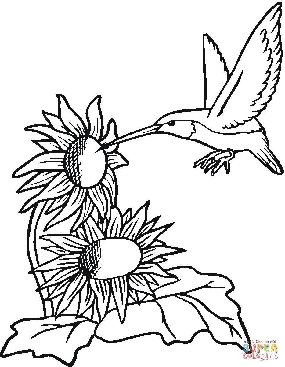 934x1200 Coloring Pages Hummingbirds Flowers Coloring Page Fun