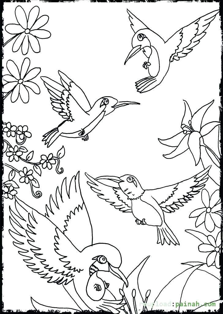 728x1024 Coloring Pages Of Hummingbirds Hummingbird Coloring Pages Flower