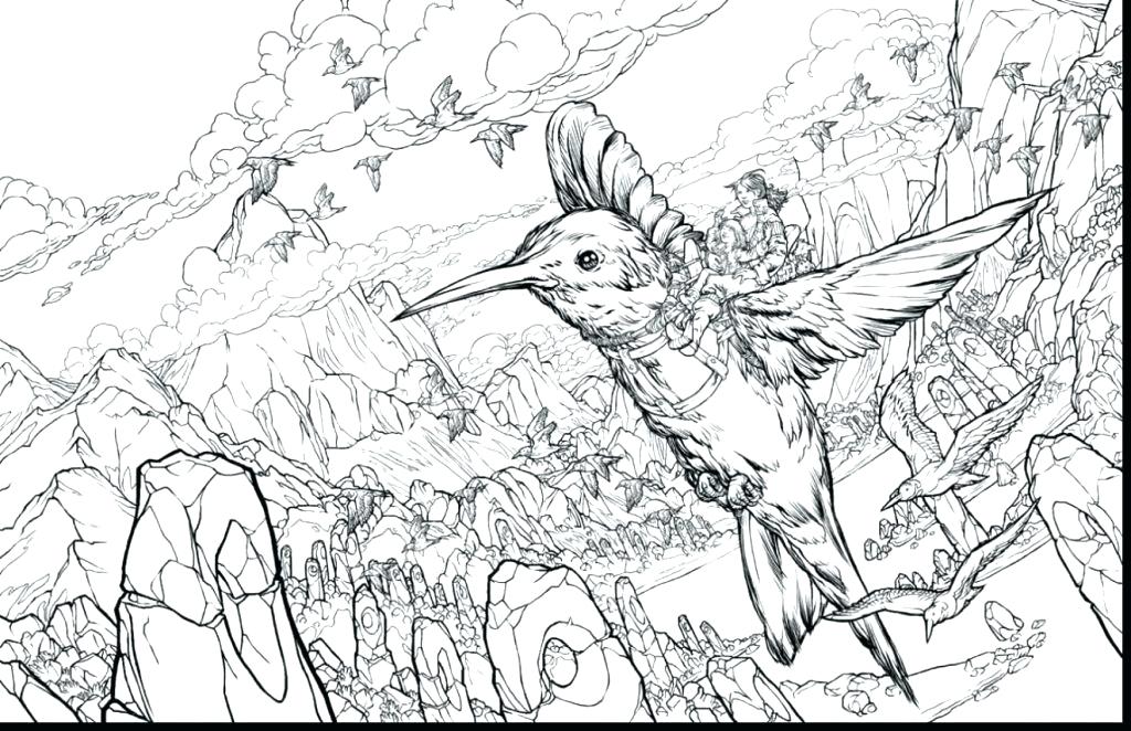 1024x662 Coloring Pages Of Hummingbirds