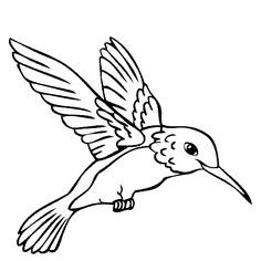 236x236 Humming Bird Large Line Drawing