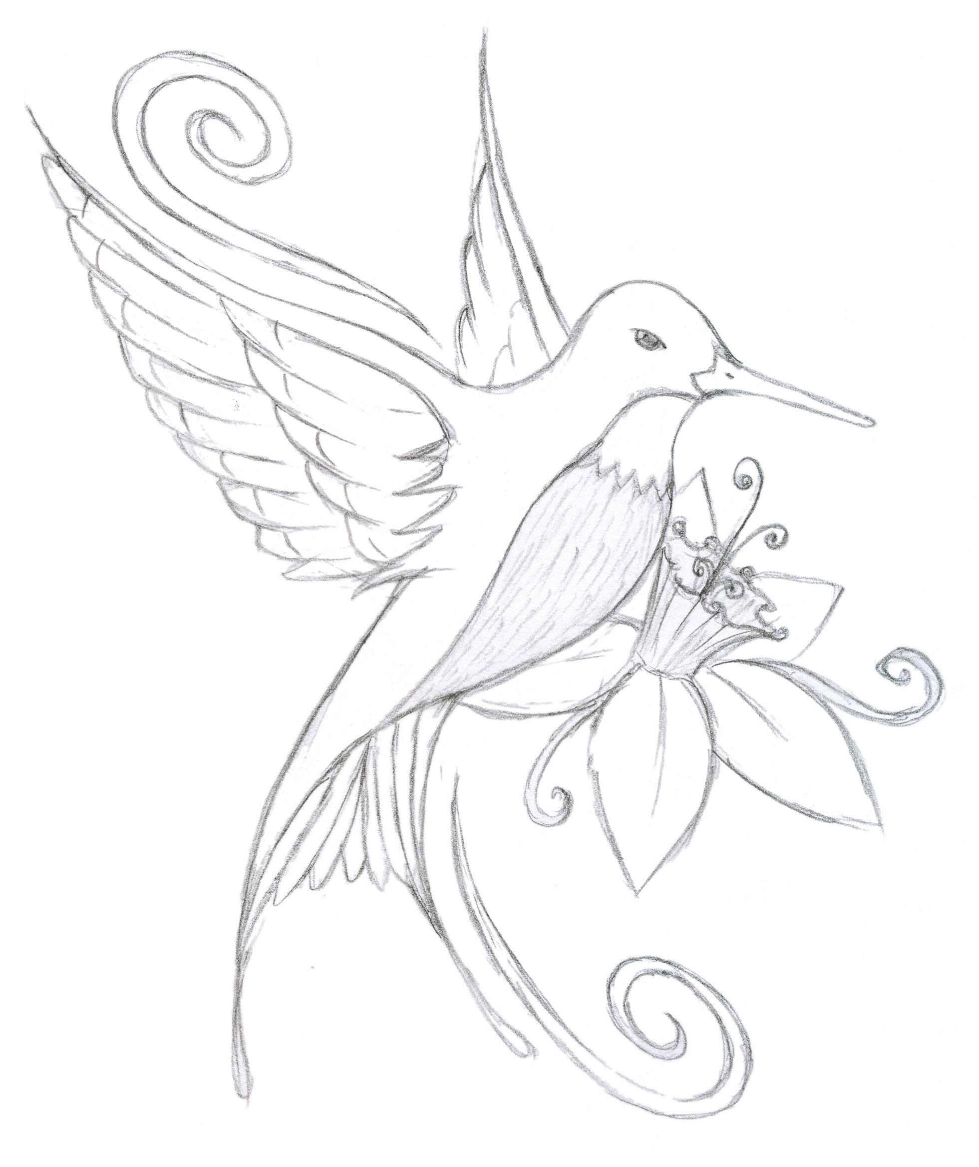 1961x2336 Fresh Hummingbird Flower Coloring Pages Gallery Printable