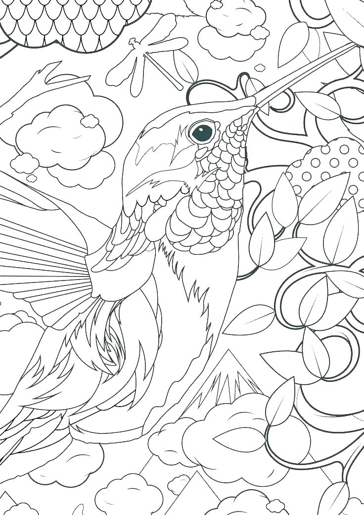 736x1041 Hummingbird Coloring Pages Hummingbird Coloring Pages Coloring