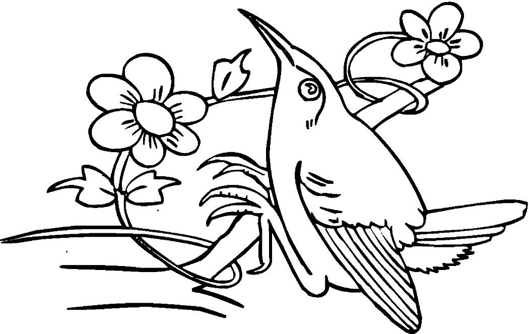 1050x663 Printable Hummingbird Coloring Pages Coloring Me