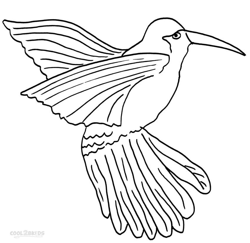 850x825 Printable Hummingbird Coloring Pages For Kids Cool2bkids