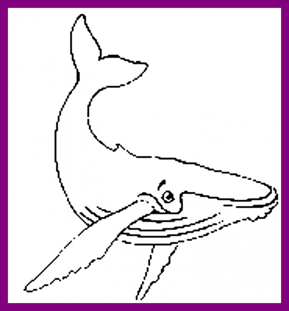 994x1069 Humpback Whale Coloring Page