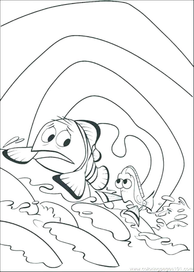 650x912 Humpback Whale Coloring Page Humpback Whale Pictures To Color