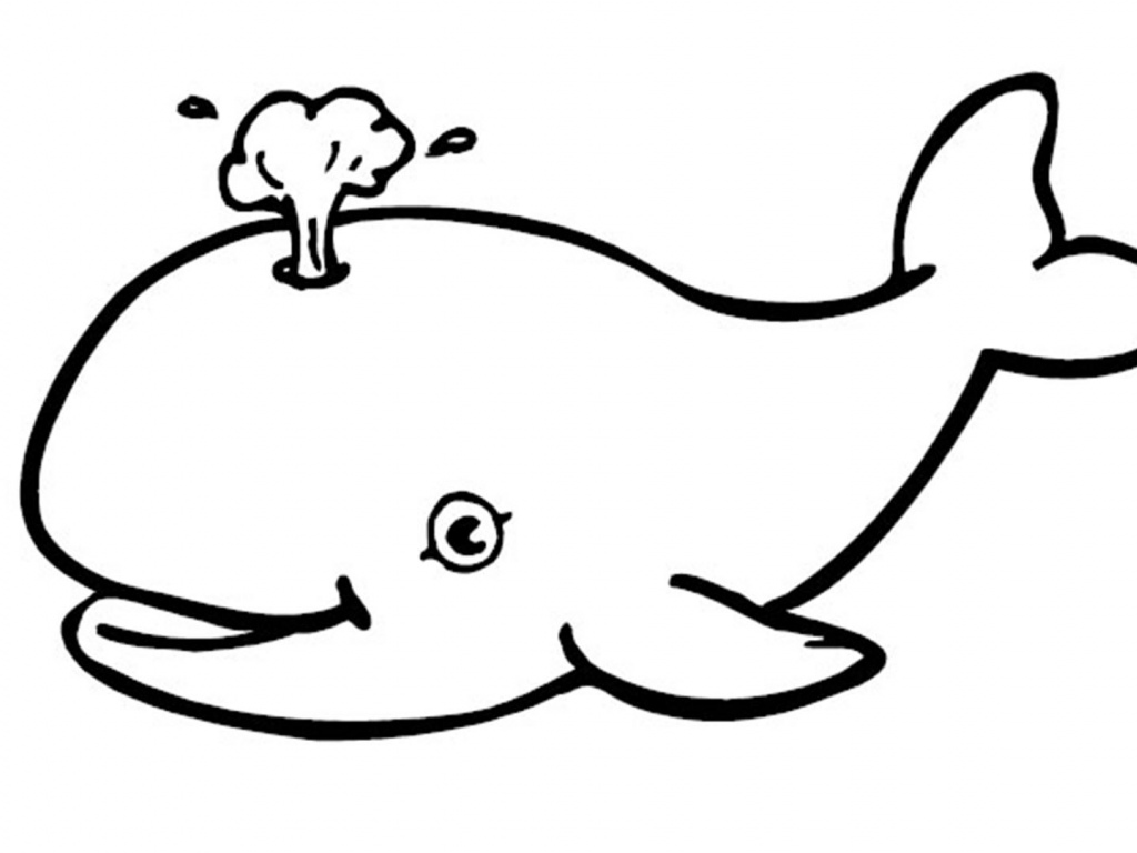 1024x768 Imposing Decoration Whale Coloring Pages Humpback Whale Pictures