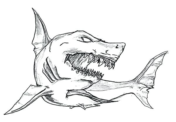 600x414 Sharks Coloring Page Whale Shark Coloring Pages Humpback Whale