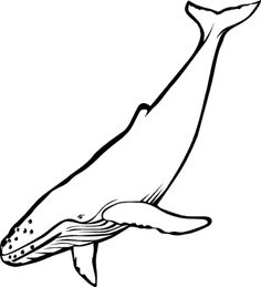 236x259 Desenho Colorir Desenhos Para Colorir