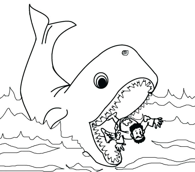 678x600 Blue Whale Coloring Page Humpback Whale Coloring Page And