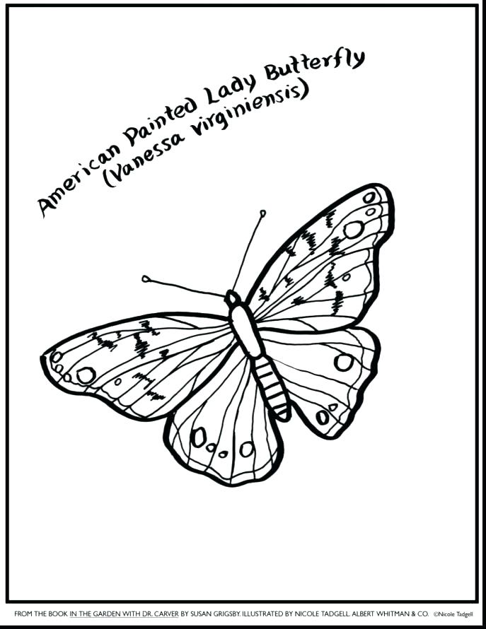687x890 The Very Hungry Caterpillar Coloring Pages Very Hungry Caterpillar