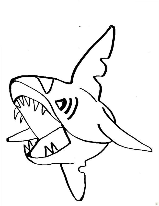 650x841 Mejores 73 De Shark Coloring Pages En